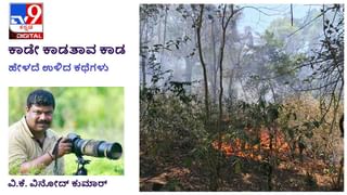 ನಂದಿ ಬೆಟ್ಟಕ್ಕೆ ಹೋಗಲು ಇದು ಪ್ರಶಸ್ತ ಸಮಯ, ಆದ್ರೆ ಪರಿಸರ ಹಾಳಾಗುತ್ತೆ ಯಾರೂ ಬರೋದು ಬೇಡಾ ಅಂತಿದೆ ಚಿಕ್ಕಬಳ್ಳಾಪುರ ಜಿಲ್ಲಾಡಳಿತ!