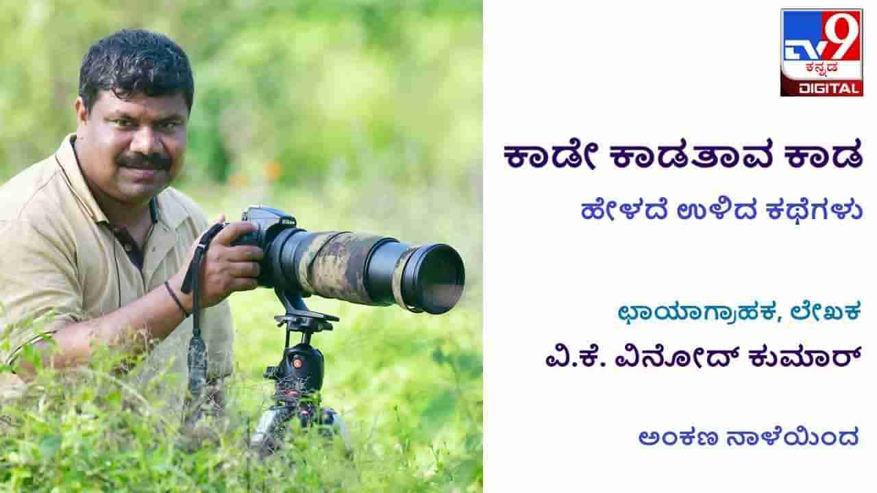 Forest Stories : ಕಾಡೇ ಕಾಡತಾವ ಕಾಡ ; ಛಾಯಾಗ್ರಾಹಕ ವಿನೋದ್ ಕುಮಾರರ ಹೇಳದೆ ಉಳಿದ ಕಾಡಕಥನಗಳು