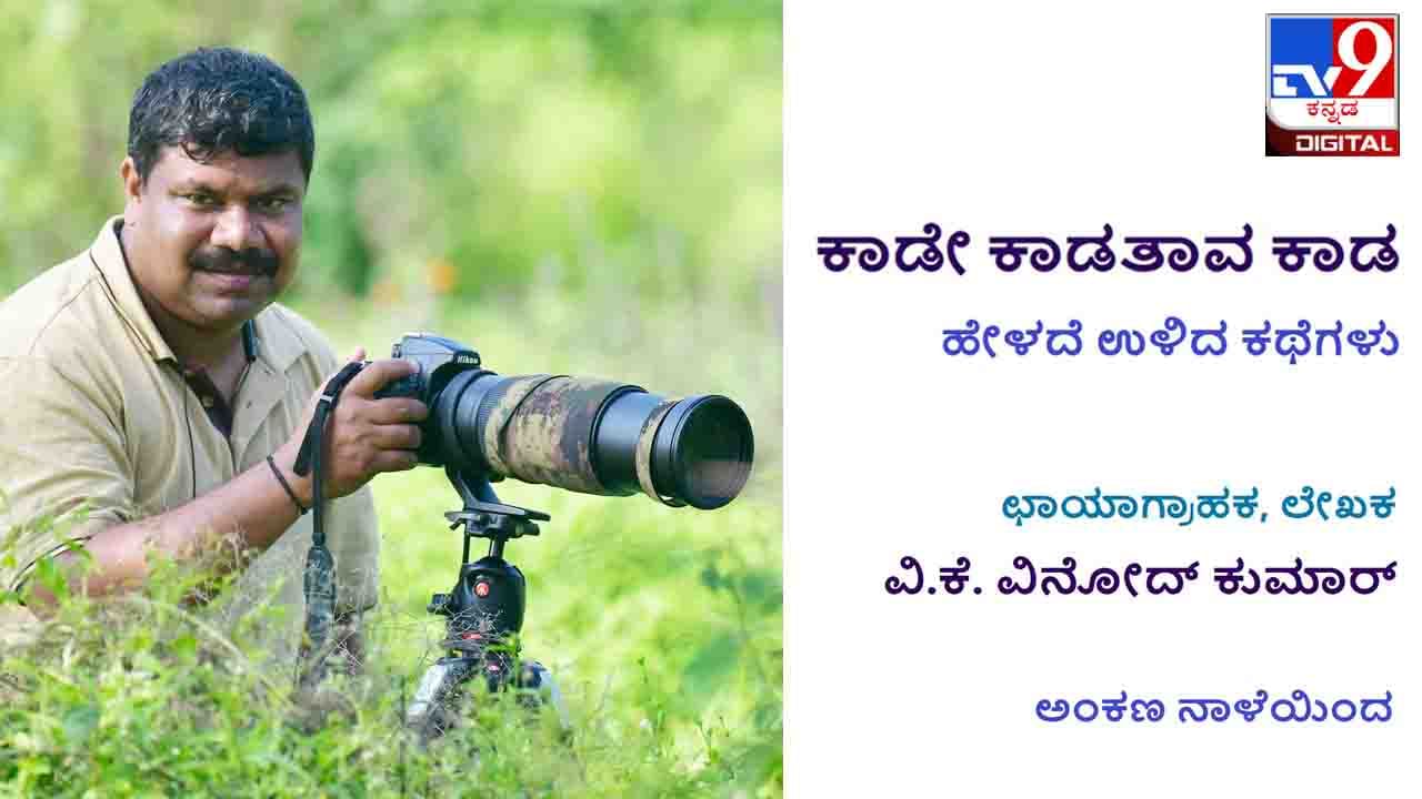 Forest Stories : ಕಾಡೇ ಕಾಡತಾವ ಕಾಡ ; ಛಾಯಾಗ್ರಾಹಕ ವಿನೋದ್ ಕುಮಾರರ ಹೇಳದೆ ಉಳಿದ ಕಾಡಕಥನಗಳು