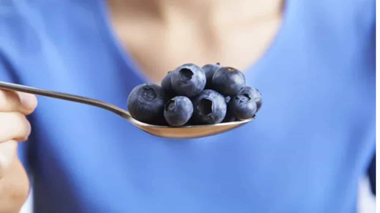 Blueberries: ಮಧುಮೇಹ ನಿಯಂತ್ರಣಕ್ಕೆ ನೇರಳೆ ಹಣ್ಣುಗಳು ಸಹಕಾರಿ: ತಜ್ಞರ ಸಲಹೆಗಳೇನು? Blueberries: ಮಧುಮೇಹ ನಿಯಂತ್ರಣಕ್ಕೆ ನೇರಳೆ ಹಣ್ಣುಗಳು ಸಹಕಾರಿ: ತಜ್ಞರ ಸಲಹೆಗಳೇನು?