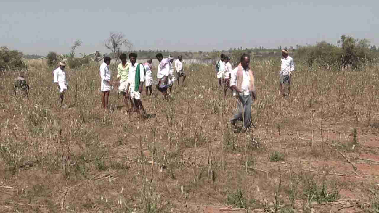 ಗದಗದಲ್ಲಿ ಆರ್​ಸಿಸಿ ನಿರ್ಮಾಣ ಕಂಪನಿ ವಿರುದ್ಧ ರೈತರ ಆಕ್ರೋಶ! ಕ್ರಷರ್ ಧೂಳಿಗೆ ಬೆಳೆ ನಾಶ