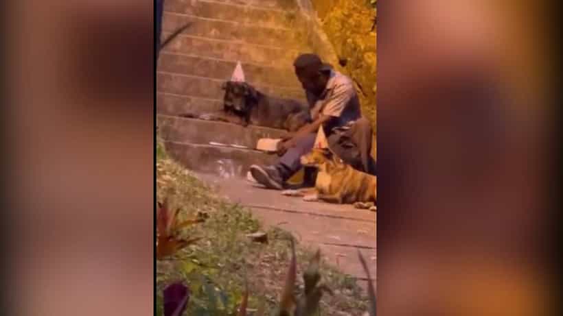 Viral Video: ತನ್ನೊಂದಿಗಿದ್ದ ಶ್ವಾನಗಳೊಂದಿಗೆ ಹುಟ್ಟುಹಬ್ಬ ಆಚರಿಸಿಕೊಂಡ ಯುವಕ : ವಿಡಿಯೋ ವೈರಲ್