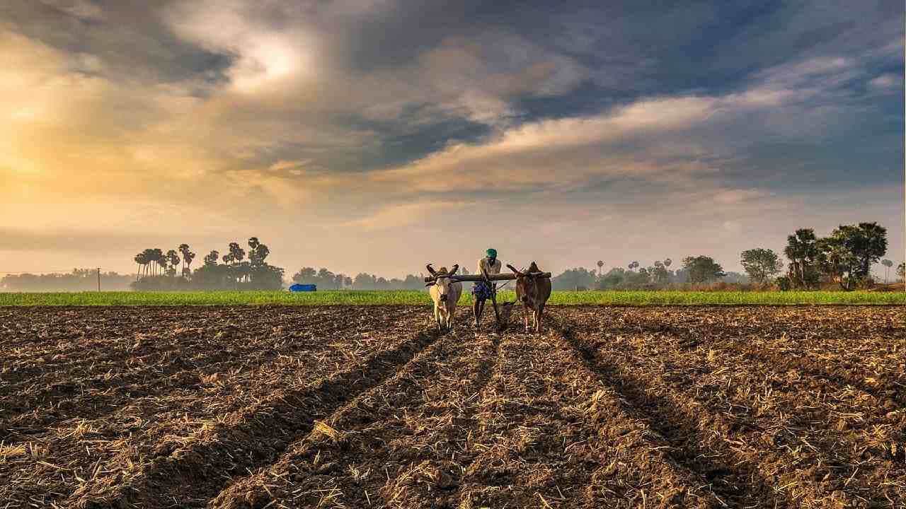 Budget 2022: ರೈತರು ಬಜೆಟ್ನಿಂದ ಏನು ಬಯಸುತ್ತಾರೆ? ಈ ಬಾರಿ ಸಣ್ಣ ಕನಸುಗಳು ನನಸಾಗುತ್ತವೆಯೇ? Budget 2022: ರೈತರು ಬಜೆಟ್ನಿಂದ ಏನು ಬಯಸುತ್ತಾರೆ? ಈ ಬಾರಿ ಸಣ್ಣ ಕನಸುಗಳು ನನಸಾಗುತ್ತವೆಯೇ?