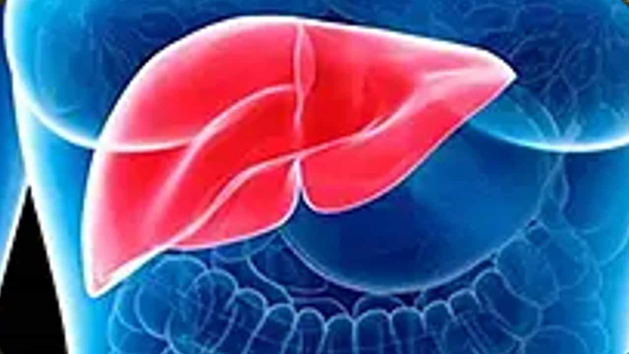 Liver damage: ಈ ಲಕ್ಷಣಗಳು ಯಕೃತ್ತಿನ ಹಾನಿಯ ಮುನ್ಸೂಚನೆ ನೀಡುತ್ತದೆ Liver damage: ಈ ಲಕ್ಷಣಗಳು ಯಕೃತ್ತಿನ ಹಾನಿಯ ಮುನ್ಸೂಚನೆ ನೀಡುತ್ತದೆ