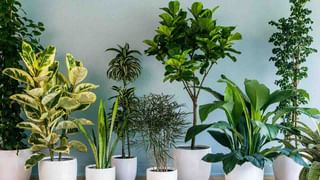 ಯಾವೆಲ್ಲಾ ದೇಶಗಳಲ್ಲಿ ಮಕ್ಕಳಿಗೆ ಕೊರೋನಾ ಲಸಿಕೆ ನೀಡಲಾಗುತ್ತಿದೆ? ಇಲ್ಲಿದೆ ಮಾಹಿತಿ