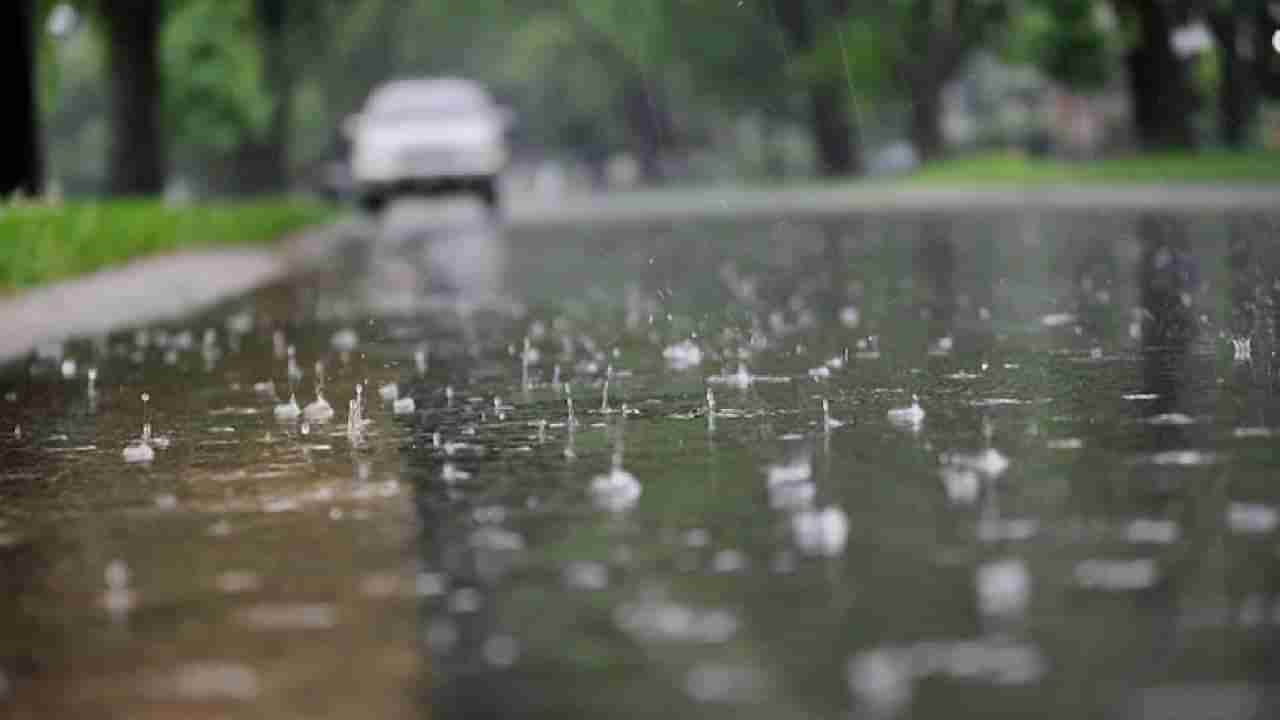 Karnataka Weather Today: ಕರ್ನಾಟಕದಲ್ಲಿ ಇಂದು, ನಾಳೆ ಅಲ್ಲಲ್ಲಿ ಮಳೆ: ಬಿಹಾರ, ಸಿಕ್ಕಿಂನಲ್ಲಿ ದಟ್ಟ ಮಂಜು