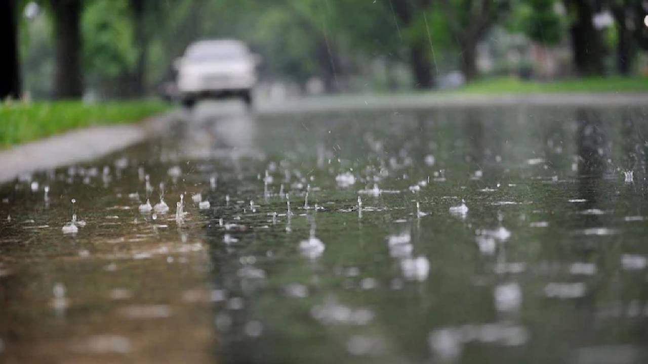 Weather Today: ಕರ್ನಾಟಕದಲ್ಲಿ ತಗ್ಗಿದ ಮಳೆ; ಪಂಜಾಬ್, ರಾಜಸ್ಥಾನ, ದೆಹಲಿಯಲ್ಲಿ ಆರೆಂಜ್​ ಅಲರ್ಟ್ ಘೋಷಣೆ