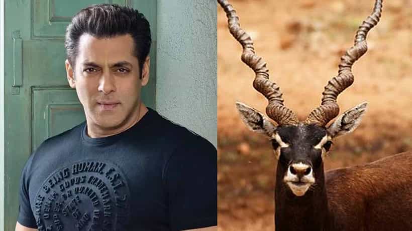ನಟ ಸಲ್ಮಾನ್ ಖಾನ್ ಬೇಟೆಯಾಡಿದ್ದ ಕೃಷ್ಣ ಮೃಗದ ನೆನಪಲ್ಲಿ ನಿರ್ಮಾಣ ಆಗಲಿದೆ ಬೃಹತ್ ಸ್ಮಾರಕ