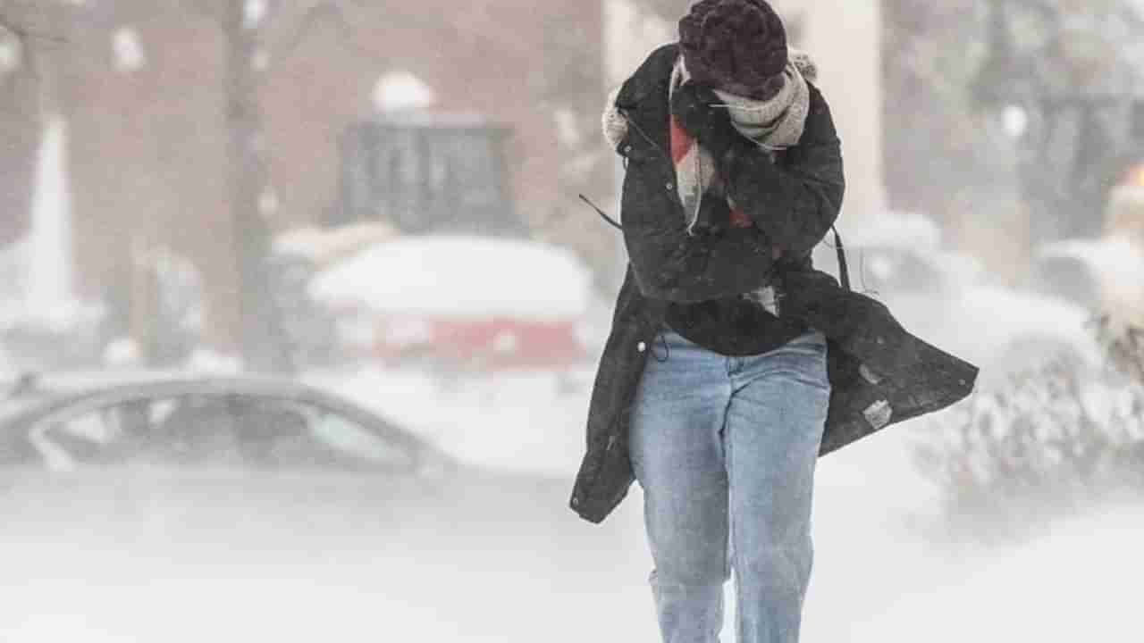 Cold Wave Diseases: ತಣ್ಣನೆಯ ಗಾಳಿಯಿಂದ ಆರೋಗ್ಯದಲ್ಲಾಗುತ್ತದೆ ಅನೇಕ ಬದಲಾವಣೆ; ಇರಲಿ ಎಚ್ಚರ