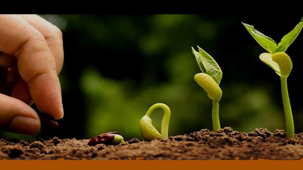 Human Age: ಅರವತ್ತಕ್ಕೆ ಅರಳು ಮರಳು ಎನ್ನುವುದು ಏಕೆ? ಏನಿದು 60ರ ಲೆಕ್ಕಾಚಾರ? Human Age: ಅರವತ್ತಕ್ಕೆ ಅರಳು ಮರಳು ಎನ್ನುವುದು ಏಕೆ? ಏನಿದು 60ರ ಲೆಕ್ಕಾಚಾರ?
