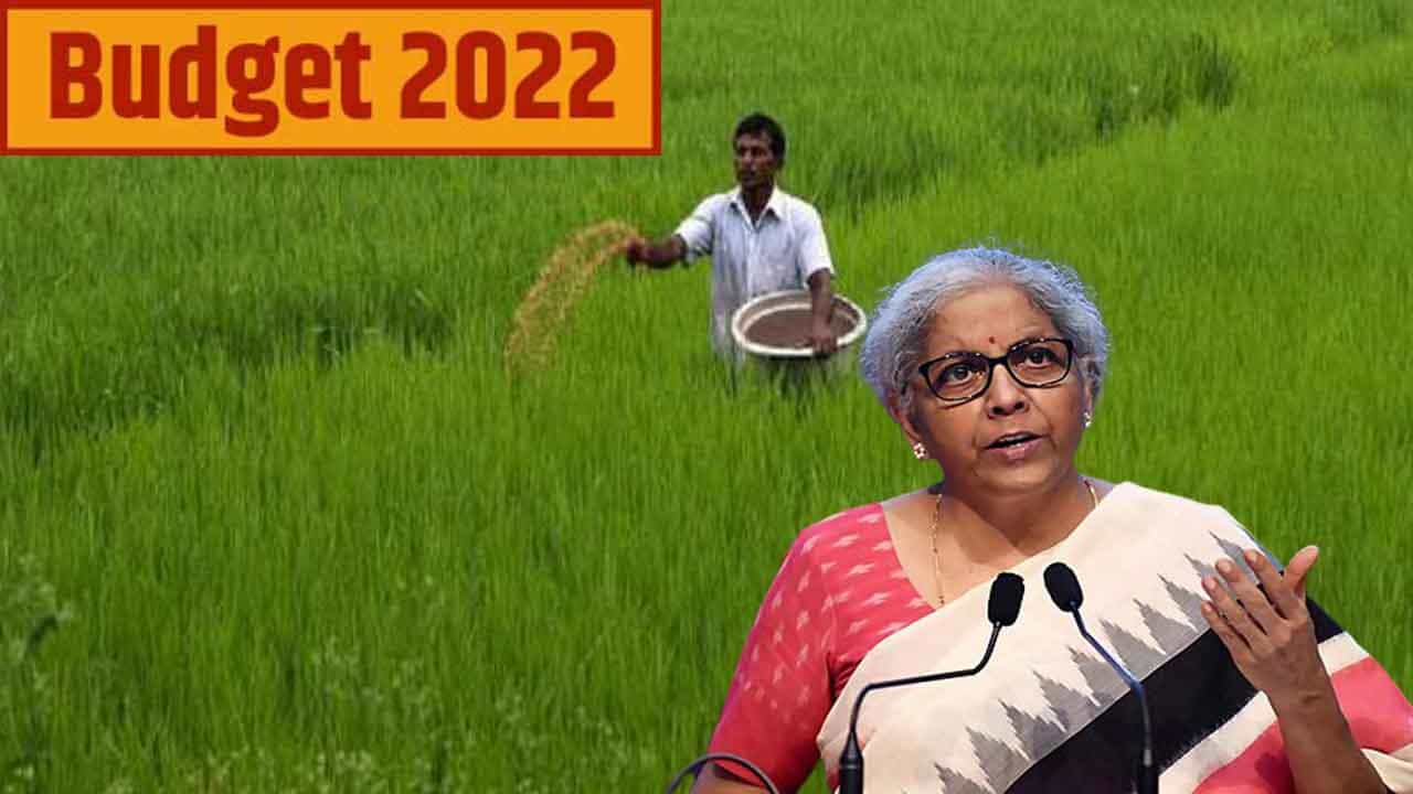 Agri Budget 2022 ಕನಿಷ್ಠ ಬೆಂಬಲ ಬೆಲೆಗೆ ₹2.37 ಲಕ್ಷ ಕೋಟಿ ಮೀಸಲು, ರಾಸಾಯನಿಕ ಮುಕ್ತ ಸಹಜ ಕೃಷಿಗೆ ಹೆಚ್ಚು ಒತ್ತು Agri Budget 2022 ಕನಿಷ್ಠ ಬೆಂಬಲ ಬೆಲೆಗೆ ₹2.37 ಲಕ್ಷ ಕೋಟಿ ಮೀಸಲು, ರಾಸಾಯನಿಕ ಮುಕ್ತ ಸಹಜ ಕೃಷಿಗೆ ಹೆಚ್ಚು ಒತ್ತು