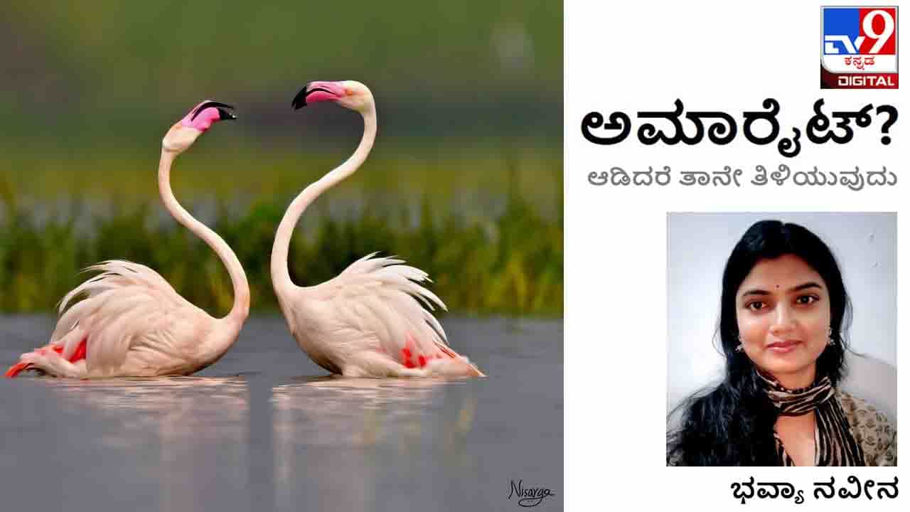 Valentine‘s Day 2022: ಅಮಾರೈಟ್; ಕಂಪ್ಲೇಂಟ್ ಸ್ವೀಕರಿಸಲು ತಯಾರಾಗಿಯೇ ಈ ಕಾಂಪ್ಲಿಕೇಟೆಡ್ ಕತೆ ಹೇಳಿದ್ದೇನೆ Valentine‘s Day 2022: ಅಮಾರೈಟ್; ಕಂಪ್ಲೇಂಟ್ ಸ್ವೀಕರಿಸಲು ತಯಾರಾಗಿಯೇ ಈ ಕಾಂಪ್ಲಿಕೇಟೆಡ್ ಕತೆ ಹೇಳಿದ್ದೇನೆ