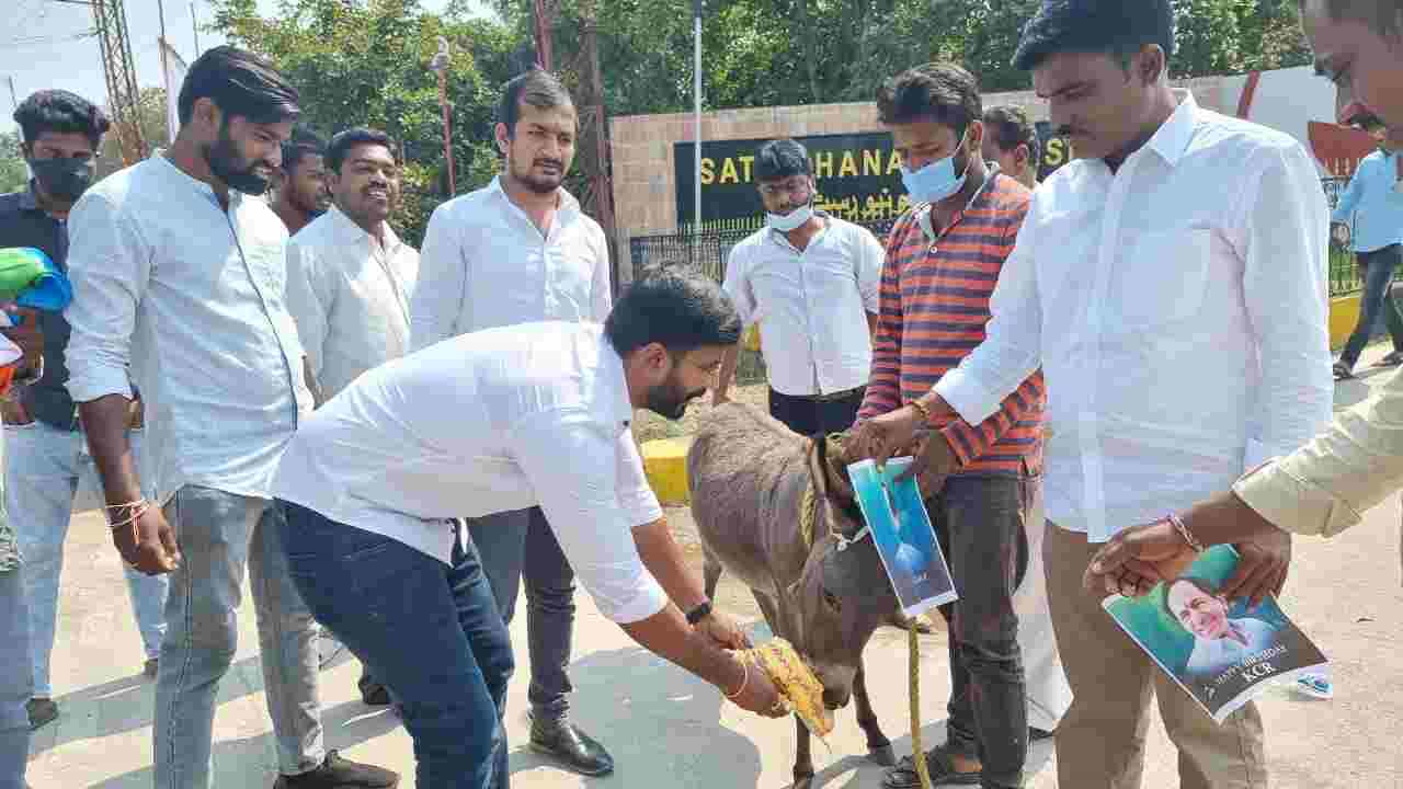 ಕತ್ತೆಯನ್ನು ಕದ್ದ ಆರೋಪದಡಿ ಕಾಂಗ್ರೆಸ್ ಮುಖಂಡನ ಬಂಧನ; ಇನ್ನೂ ಕೆಲವರಿಗಾಗಿ ಹುಡುಕುತ್ತಿರುವ ಪೊಲೀಸರು ಕತ್ತೆಯನ್ನು ಕದ್ದ ಆರೋಪದಡಿ ಕಾಂಗ್ರೆಸ್ ಮುಖಂಡನ ಬಂಧನ; ಇನ್ನೂ ಕೆಲವರಿಗಾಗಿ ಹುಡುಕುತ್ತಿರುವ ಪೊಲೀಸರು