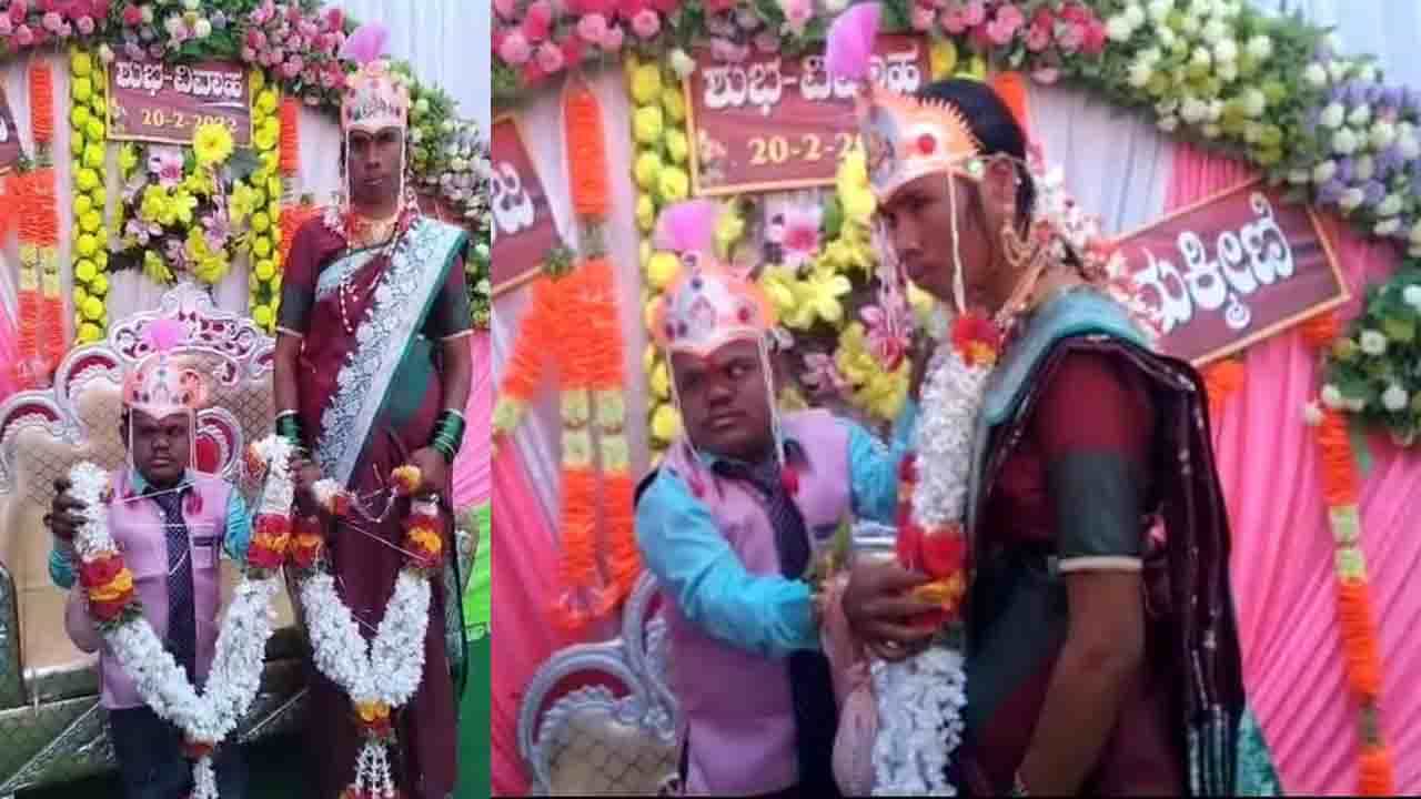 Made For Each Other: ವರ 3 ಅಡಿ, ವಧು ಐದೂವರೆ ಅಡಿ -ಬಾಗಲಕೋಟದಲ್ಲಿ ಬಲು ಅಪರೂಪದ ಜೋಡಿ ಮದುವೆಯಾದರು Made For Each Other: ವರ 3 ಅಡಿ, ವಧು ಐದೂವರೆ ಅಡಿ -ಬಾಗಲಕೋಟದಲ್ಲಿ ಬಲು ಅಪರೂಪದ ಜೋಡಿ ಮದುವೆಯಾದರು