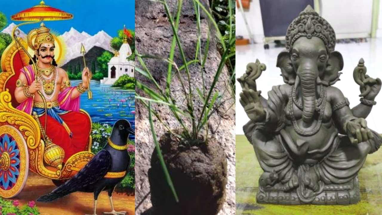 Lord Shani Dev: ಶನಿ ದೇವರಿಗೆ ಹೆದರದೇ ಇರುವುದು ಈ ಇಬ್ಬರೇ! Lord Shani Dev: ಶನಿ ದೇವರಿಗೆ ಹೆದರದೇ ಇರುವುದು ಈ ಇಬ್ಬರೇ!