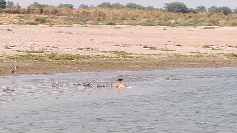 ಕೊವಿಡ್ ಎರಡನೇ ಅಲೆ ಸಮಯದಲ್ಲಿ ಗಂಗಾ ನದಿಯಲ್ಲಿ ಎಸೆಯಲಾದ ಮೃತದೇಹಗಳ ಕುರಿತು ಮಾಹಿತಿ ಲಭ್ಯವಿಲ್ಲ: ಕೇಂದ್ರ