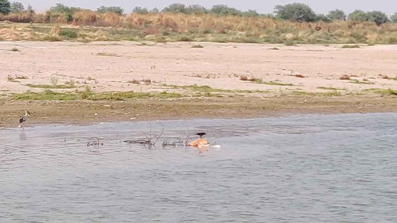 ಕೊವಿಡ್  ಎರಡನೇ ಅಲೆ ಸಮಯದಲ್ಲಿ ಗಂಗಾ ನದಿಯಲ್ಲಿ  ಎಸೆಯಲಾದ ಮೃತದೇಹಗಳ ಕುರಿತು ಮಾಹಿತಿ ಲಭ್ಯವಿಲ್ಲ: ಕೇಂದ್ರ