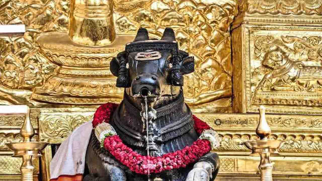 ಕಾಡು ಮಲ್ಲೇಶ್ವರ ದೇವಾಲಯ(Kadu Malleshwara Temple): ಮಲ್ಲೇಶ್ವರಂನಲ್ಲಿರುವ ಕಾಡು ಮಲ್ಲೇಶ್ವರ ದೇವಾಲಯ ಸುಮಾರು ಕ್ರಿ.ಶ 16ನೇ ಶತಮಾನದಲ್ಲಿ ನಿರ್ಮಿಸಲಾಗಿದೆ ಎಂದು ಹೇಳಲಾಗುತ್ತದೆ. ಶ್ರೀ ಮಲ್ಲಿಕಾರ್ಜುನ ದೇವಸ್ಥಾನ ಕಾಡು ಮಲ್ಲೇಶ್ವರ ಎಂದೇ ಪ್ರಸಿದ್ಧ. ಇದು ಉದ್ಭವ ಲಿಂಗ. ಇಲ್ಲಿ ಗಣಪತಿ, ಕಾಶಿ ವಿಶ್ವನಾಥ, ಮಹಾ ವಿಷ್ಣು, ಸೂರ್ಯನಾರಾಯಣ, ಆಂಜನೇಯ, ಕಾಲಭೈರವ, ಅರುಣಾಚಲೇಶ್ವರ, ಪಾರ್ವತಿ, ದಕ್ಷಿಣಾಮೂರ್ತಿ, ನವಗ್ರಹ, ಸುಬ್ರಹ್ಮಣ್ಯೇಶ್ವರ, ದುರ್ಗಾ ದೇವತೆಯ ಮೂರ್ತಿಗಳೂ ಇವೆ. ನಂದೀಶ್ವರ ತೀರ್ಥ ಈ ದೇವಾಲಯದ ಮತ್ತೊಂದು ಪ್ರಮುಖ ಆಕರ್ಷಣೆಯಾಗಿದೆ. ಇಲ್ಲಿ ನಂದಿ ಪ್ರತಿಮೆಯ ಬಾಯಿಯಿಂದ ನೀರು ನಿರಂತರವಾಗಿ ಹರಿದು ಲಿಂಗದ ಮೇಲೆ ಬೀಳುತ್ತದೆ. ಈ ನೀರು ವೃಷಭಾವತಿ ನದಿಯ ಮೂಲ ಎಂಬ ನಂಬಿಕೆಯೂ ಇದೆ.