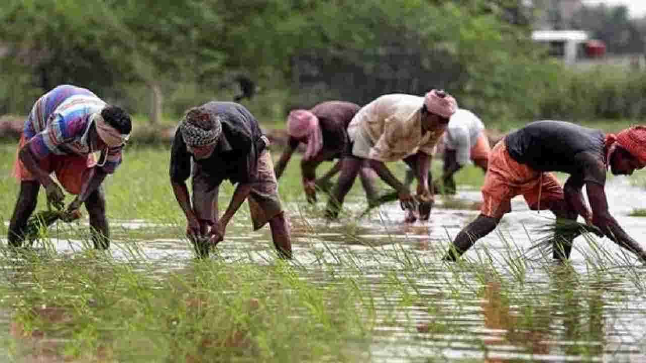 Budget 2022: ಪಿಎಂ ಕಿಸಾನ್​ ಸಮ್ಮಾನ್​ ಸ್ಕೀಮ್​ಗೆ ಬಜೆಟ್​​ನಲ್ಲಿ 68 ಸಾವಿರ ಕೋಟಿ ರೂಪಾಯಿ ಮೀಸಲು