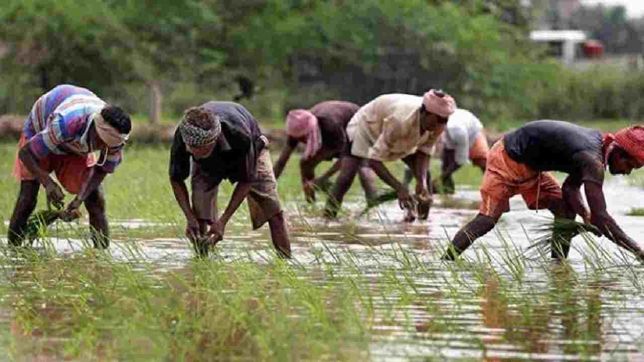 Budget 2022: ಪಿಎಂ ಕಿಸಾನ್ ಸಮ್ಮಾನ್ ಸ್ಕೀಮ್ಗೆ ಬಜೆಟ್ನಲ್ಲಿ 68 ಸಾವಿರ ಕೋಟಿ ರೂಪಾಯಿ ಮೀಸಲು Budget 2022: ಪಿಎಂ ಕಿಸಾನ್ ಸಮ್ಮಾನ್ ಸ್ಕೀಮ್ಗೆ ಬಜೆಟ್ನಲ್ಲಿ 68 ಸಾವಿರ ಕೋಟಿ ರೂಪಾಯಿ ಮೀಸಲು
