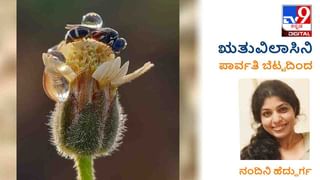 ಋತುವಿಲಾಸಿನಿ; ‘ಇನ್ನಷ್ಟು ನೋವು, ಕಾವು ಹೊಳೆಯಿಸಬೇಕಿದೆ’ ಇಂದಿನಿಂದ ಕವಿ ನಂದಿನಿ ಹೆದ್ದುರ್ಗ ಅಂಕಣ ಆರಂಭ