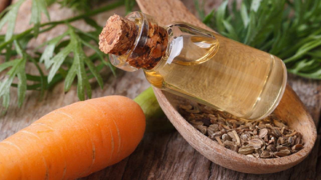 Carrot Seed Oil: ಕ್ಯಾರೆಟ್ ಬೀಜದ ಎಣ್ಣೆ ಕೂದಲು ಮತ್ತು ಚರ್ಮಕ್ಕೆ ಸಂಬಂಧಿಸಿದ ಅನೇಕ ಸಮಸ್ಯೆಗಳಿಂದ ಪರಿಹಾರವನ್ನು ನೀಡುತ್ತದೆ