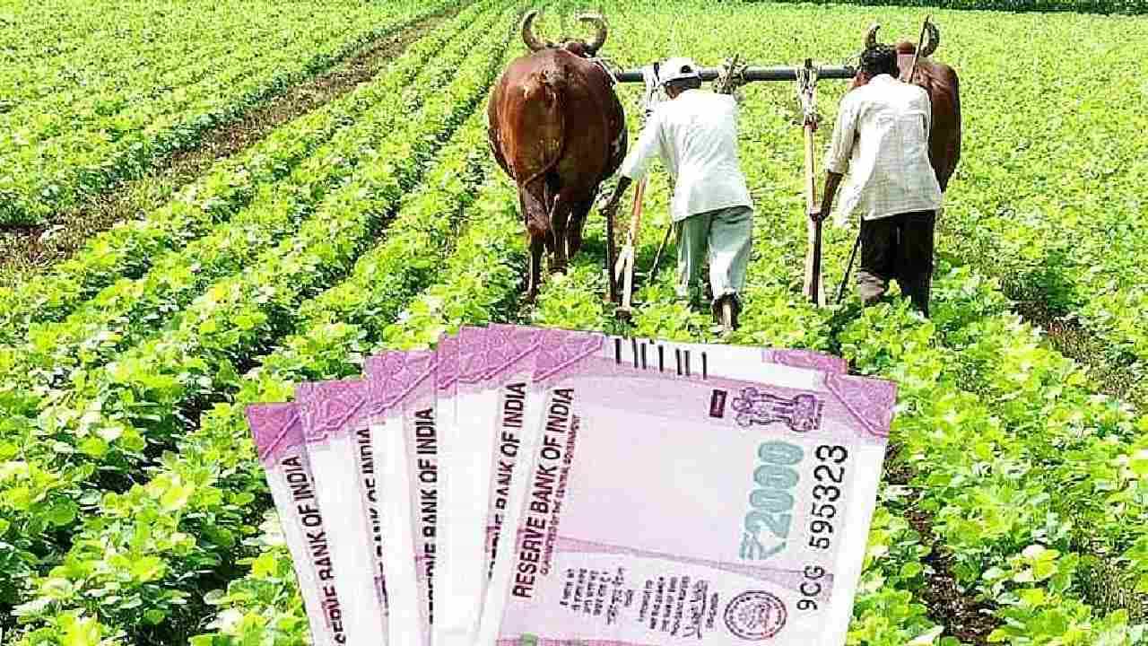 PM Kisan Samman Nidhi: ಒಂದು ಕುಟುಂಬದಲ್ಲಿ ಎಷ್ಟು ಮಂದಿ ಪಿಎಂ ಕಿಸಾನ್ ಸಮ್ಮಾನ್ ನಿಧಿ ಪ್ರಯೋಜನ ಪಡೆಯಬಹುದು? PM Kisan Samman Nidhi: ಒಂದು ಕುಟುಂಬದಲ್ಲಿ ಎಷ್ಟು ಮಂದಿ ಪಿಎಂ ಕಿಸಾನ್ ಸಮ್ಮಾನ್ ನಿಧಿ ಪ್ರಯೋಜನ ಪಡೆಯಬಹುದು?
