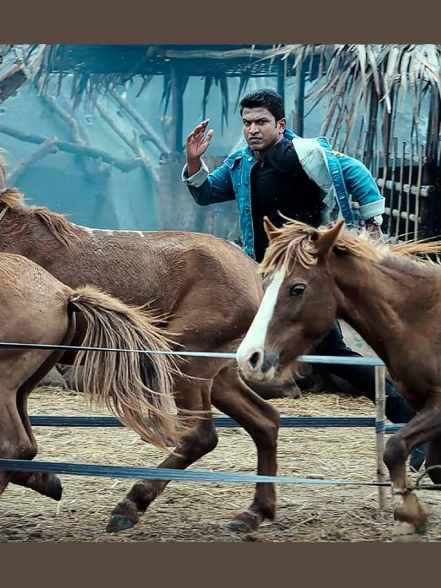 Puneeth in James (5)