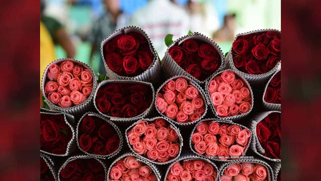 ಈ ಬಾರಿ ಪ್ರೇಮಿಗಳ ದಿನದಂದು ಬೆಂಗಳೂರಿನಿಂದ ರಫ್ತಾದ ಗುಲಾಬಿ ಹೂವುಗಳ ಪ್ರಮಾಣವೆಷ್ಟು? ಇಲ್ಲಿದೆ ಅಚ್ಚರಿಯಾಗುವ ಅಂಕಿಅಂಶ ಈ ಬಾರಿ ಪ್ರೇಮಿಗಳ ದಿನದಂದು ಬೆಂಗಳೂರಿನಿಂದ ರಫ್ತಾದ ಗುಲಾಬಿ ಹೂವುಗಳ ಪ್ರಮಾಣವೆಷ್ಟು? ಇಲ್ಲಿದೆ ಅಚ್ಚರಿಯಾಗುವ ಅಂಕಿಅಂಶ