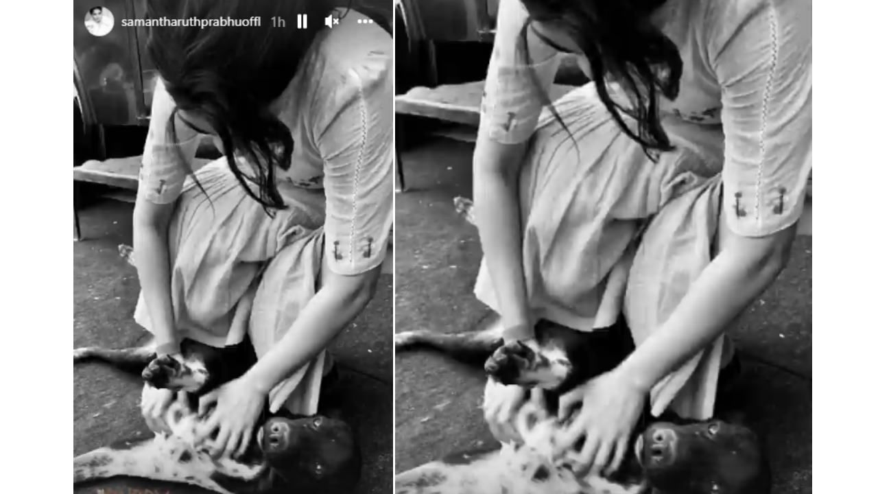 Samantha post on valentines Day