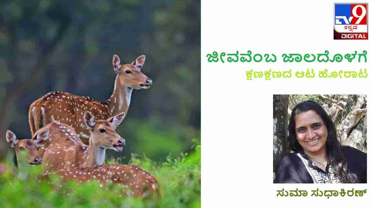 ಜೀವವೆಂಬ ಜಾಲದೊಳಗೆ; ಪ್ರಾಣಿಗಳಿಗಂತೂ ಬೋರ್ಡ್​ ಓದಲು ಬರುವುದಿಲ್ಲ ಚಿಪ್ಸ್​, ಕುರ್ಕುರೆ ಹಿಡಿದುಕೊಂಡು ಹೋಗುವ ನಮಗೆ?