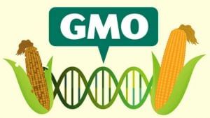Myths vs Reality : GMOs ಬಗ್ಗೆ ಏನು ತಿಳಿಯಬೇಕು?