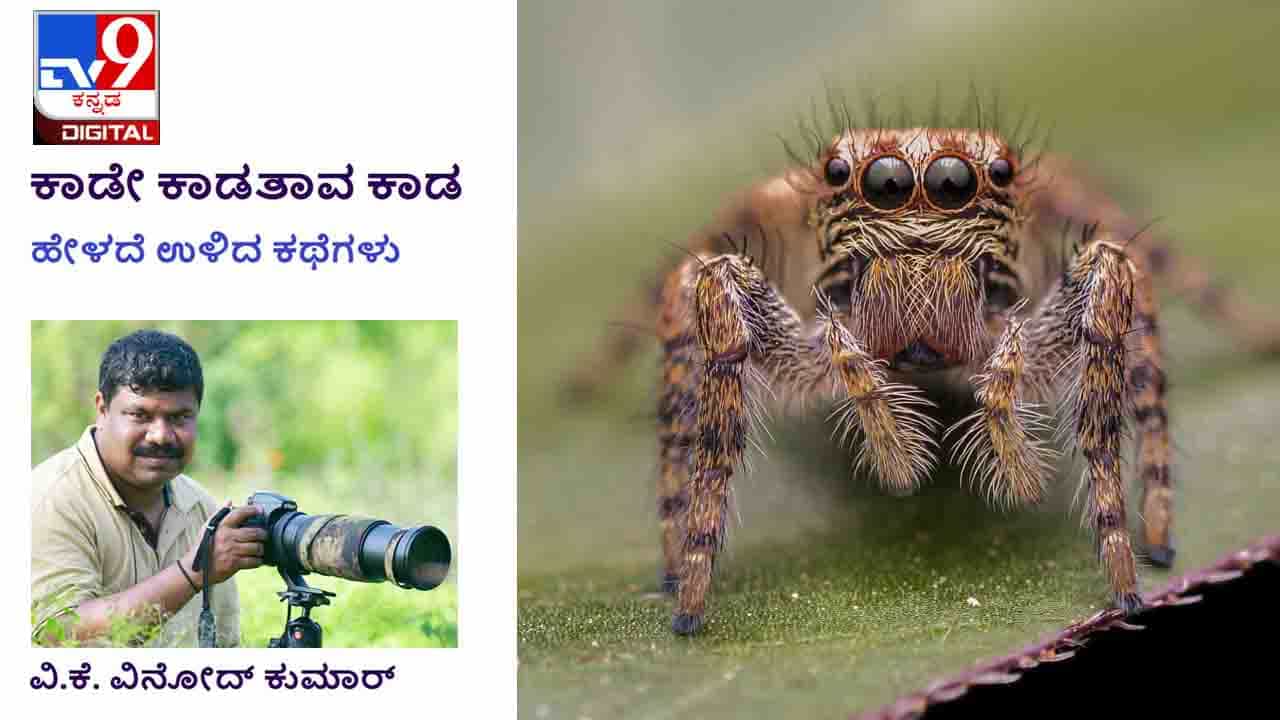 Forest Stories: ಕಾಡೇ ಕಾಡತಾವ ಕಾಡ; ಕೋವಿ ಎತ್ತಿ ಲಾರಿಯ ಚಕ್ರದ ಕಡೆ ಗುರಿ ಹಿಡಿದು ಫೈರ್ ಮಾಡಿದರು Forest Stories: ಕಾಡೇ ಕಾಡತಾವ ಕಾಡ; ಕೋವಿ ಎತ್ತಿ ಲಾರಿಯ ಚಕ್ರದ ಕಡೆ ಗುರಿ ಹಿಡಿದು ಫೈರ್ ಮಾಡಿದರು