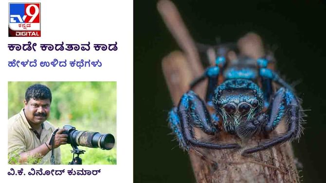 Forest Stories: ಕಾಡೇ ಕಾಡತಾವ ಕಾಡ; ತಪ್ಪಿದ ಕೇಸು, ಗಾಯವಾದ ತಲೆ, ಮನೆಕಡೆ ಹೆಜ್ಜೆ Forest Stories: ಕಾಡೇ ಕಾಡತಾವ ಕಾಡ; ತಪ್ಪಿದ ಕೇಸು, ಗಾಯವಾದ ತಲೆ, ಮನೆಕಡೆ ಹೆಜ್ಜೆ