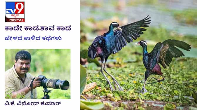 Forest Stories: ಕಾಡೇ ಕಾಡತಾವ ಕಾಡ; ‘ನಿಮ್ಮ ಕೆಲಸ ಈ ಥರಾ ಅಂತ ಗೊತ್ತಿದ್ರೆ ಮದುವೆಗೇ ಒಪ್ಕೋತಿರಲಿಲ್ಲ’