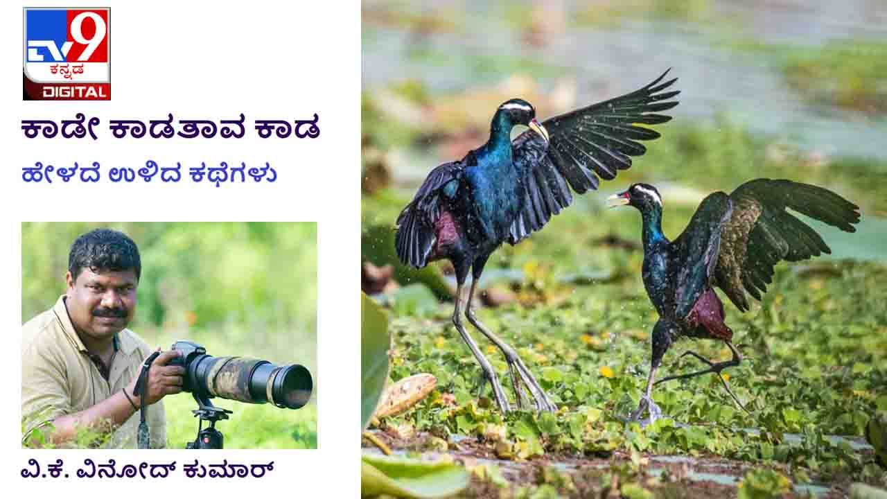 Forest Stories: ಕಾಡೇ ಕಾಡತಾವ ಕಾಡ; ‘ನಿಮ್ಮ ಕೆಲಸ ಈ ಥರಾ ಅಂತ ಗೊತ್ತಿದ್ರೆ ಮದುವೆಗೇ ಒಪ್ಕೋತಿರಲಿಲ್ಲ’