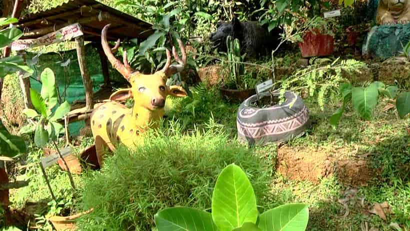 ಬೋನ್ಸಾಯ್ ಪದ್ಧತಿಯಲ್ಲಿ ಸಪ್ತರ್ಷಿ ವನ ನಿರ್ಮಾಣ; ಪರಿಸರ ಸಂರಕ್ಷಣೆಗೆ ಮುಂದಾದ ನಿವೃತ್ತ ಅರಣ್ಯಾಧಿಕಾರಿ