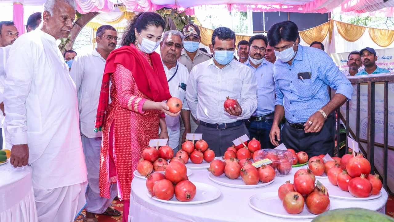 Maha Shivaratri 2022: ಶಿವರಾತ್ರಿ ಉಪವಾಸಕ್ಕೆ ಕೊಪ್ಪಳದಲ್ಲಿ ಹಣ್ಣಿನ ಮೇಳ! ರೈತರಿಗೂ ಸಂಭ್ರಮ, ಶಿವ ಭಕ್ತರಿಗೂ ಆನಂದ! Maha Shivaratri 2022: ಶಿವರಾತ್ರಿ ಉಪವಾಸಕ್ಕೆ ಕೊಪ್ಪಳದಲ್ಲಿ ಹಣ್ಣಿನ ಮೇಳ! ರೈತರಿಗೂ ಸಂಭ್ರಮ, ಶಿವ ಭಕ್ತರಿಗೂ ಆನಂದ!