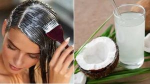 Coconut Water for Hair Care: ತಲೆ ಕೂದಲು ಉದುರುವ ಸಮಸ್ಯೆ ಹೆಚ್ಚಾಗಿದ್ದರೆ ತೆಂಗಿನಕಾಯಿ ನೀರನ್ನು ಬಳಸಿ