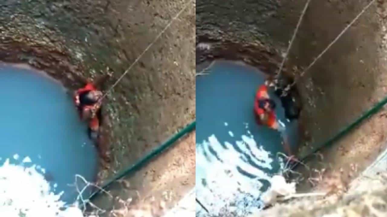 Viral Video: ತನ್ನ ಪ್ರಾಣವನ್ನೇ ಪಣಕ್ಕಿಟ್ಟು ಬಾವಿಯಲ್ಲಿ ಬಿದಿದ್ದ ನಾಯಿಯನ್ನು ರಕ್ಷಿಸಿದ ಮಂಗಳೂರಿನ ಮಹಿಳೆ Viral Video: ತನ್ನ ಪ್ರಾಣವನ್ನೇ ಪಣಕ್ಕಿಟ್ಟು ಬಾವಿಯಲ್ಲಿ ಬಿದಿದ್ದ ನಾಯಿಯನ್ನು ರಕ್ಷಿಸಿದ ಮಂಗಳೂರಿನ ಮಹಿಳೆ