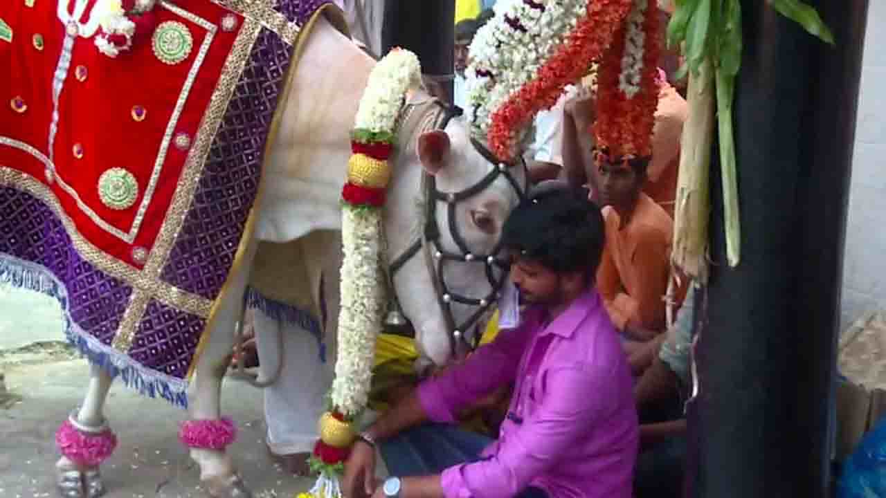 58 ವರ್ಷದಿಂದ ಇದ್ದ ದೇಗುಲದ ಗುಡ್ಡಪ್ಪ ನೇಮಕ ವಿವಾದಕ್ಕೆ ತೆರೆ; ದೇವಾಲಯದ ಕೊಳಕ್ಕೆ ತಳ್ಳಿ ಅರ್ಚಕರ ಆಯ್ಕೆ ಮಾಡಿದ ಬಸಪ್ಪ 58 ವರ್ಷದಿಂದ ಇದ್ದ ದೇಗುಲದ ಗುಡ್ಡಪ್ಪ ನೇಮಕ ವಿವಾದಕ್ಕೆ ತೆರೆ; ದೇವಾಲಯದ ಕೊಳಕ್ಕೆ ತಳ್ಳಿ ಅರ್ಚಕರ ಆಯ್ಕೆ ಮಾಡಿದ ಬಸಪ್ಪ