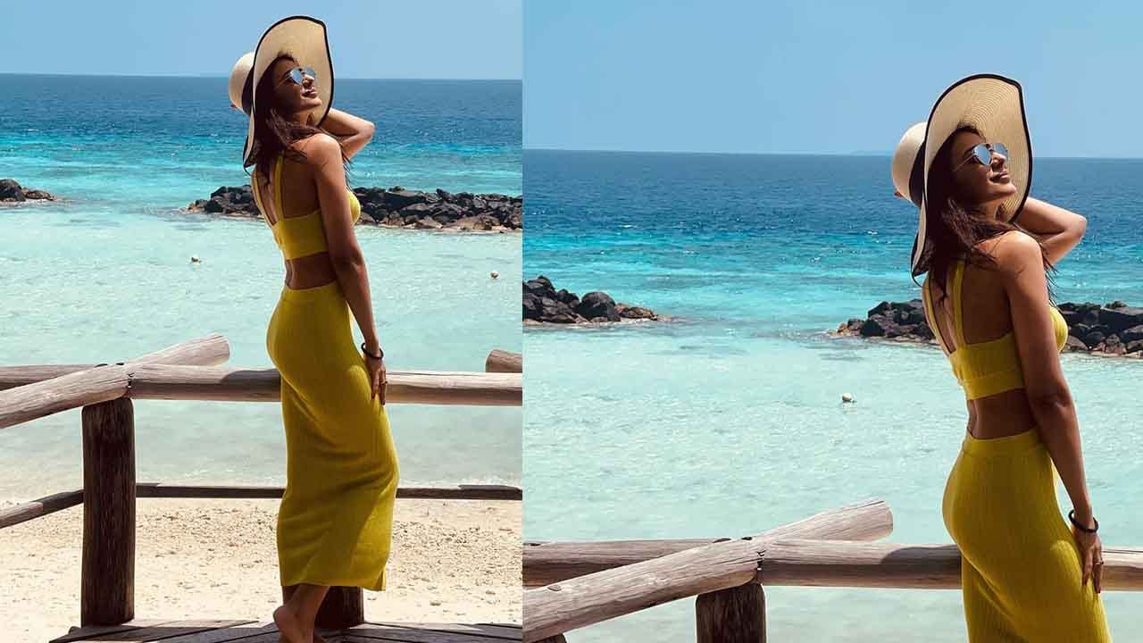 ರಾಕುಲ್​ ಹಾಗೂ ಜಾಕಿ ಇಬ್ಬರೂ ಪರಸ್ಪರ ಪ್ರೀತಿಸುತ್ತಿದ್ದಾರೆ. ಅನೇಕ ಬಾರಿ ಇಬ್ಬರೂ ಒಟ್ಟಾಗಿ ಕಾಣಿಸಿಕೊಂಡಿದ್ದಿದೆ. ರಾಕುಲ್​ ಅವರ ಚಾಯ್ಸ್​ ಅಭಿಮಾನಿಗಳಿಗೆ ಇಷ್ಟವಾಗಿದೆ. ಅಭಿಮಾನಿಗಳು ರಾಕುಲ್​ಗೆ ಈ ಮೊದಲು ಶುಭಕೋರಿದ್ದರು.