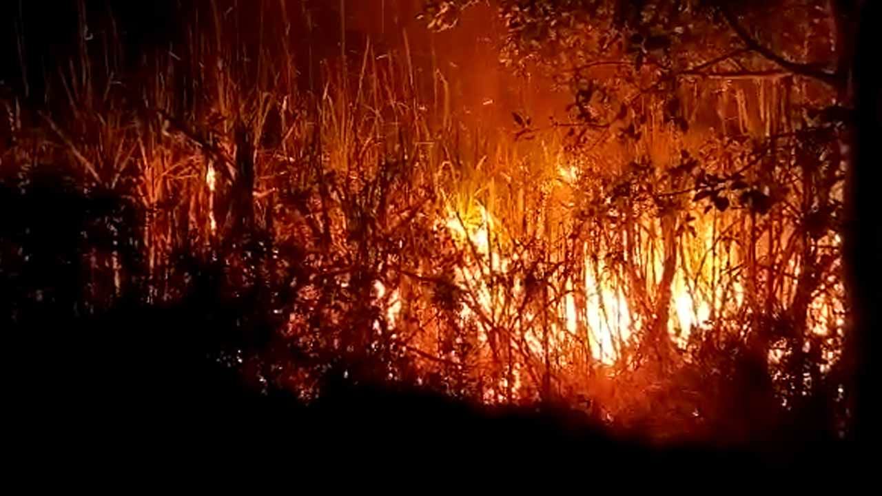 ಹುಬ್ಬಳ್ಳಿಯಲ್ಲಿ ವಿದ್ಯುತ್ ತಂತಿ ತಗುಲಿ ಕಬ್ಬು ಬೆಳೆ ಸುಟ್ಟು ಭಸ್ಮ! ಪರಿಹಾರಕ್ಕೆ ರೈತ ಆಗ್ರಹ ಹುಬ್ಬಳ್ಳಿಯಲ್ಲಿ ವಿದ್ಯುತ್ ತಂತಿ ತಗುಲಿ ಕಬ್ಬು ಬೆಳೆ ಸುಟ್ಟು ಭಸ್ಮ! ಪರಿಹಾರಕ್ಕೆ ರೈತ ಆಗ್ರಹ