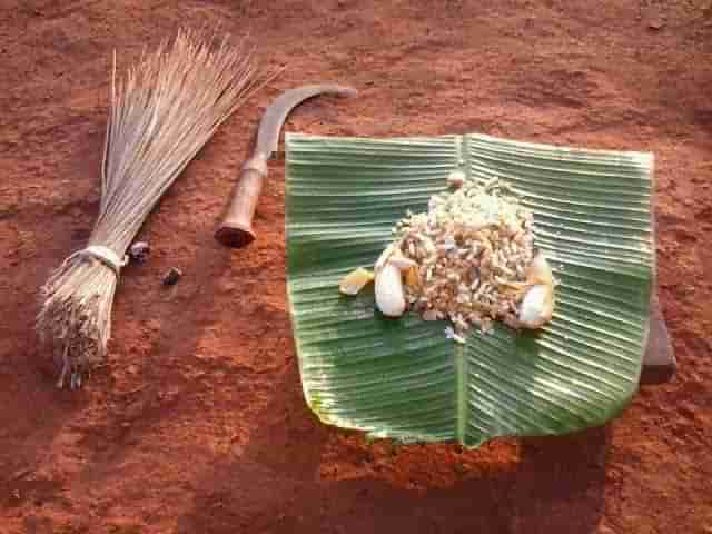 ಭೂಮಿ ತಾಯಿಯ ಋತುಸ್ರಾವವನ್ನು ಸಂಭ್ರಮಿಸುವ ದಿನ ಕೆಡ್ಡಸ! ಇಂದು ತುಳುನಾಡಿಗೆ ಮಧ್ಯಾಹ್ನ ಕೆಡ್ಡಸ