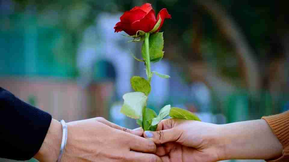 Valentines day :  ಬಣ್ಣ ಬಣ್ಣದ ಸಂಚಿಕೆಯಂತೆ ನನ್ನ ಬದುಕಿಗೆ ಮತ್ತೊಮ್ಮೆ ಬಾ..