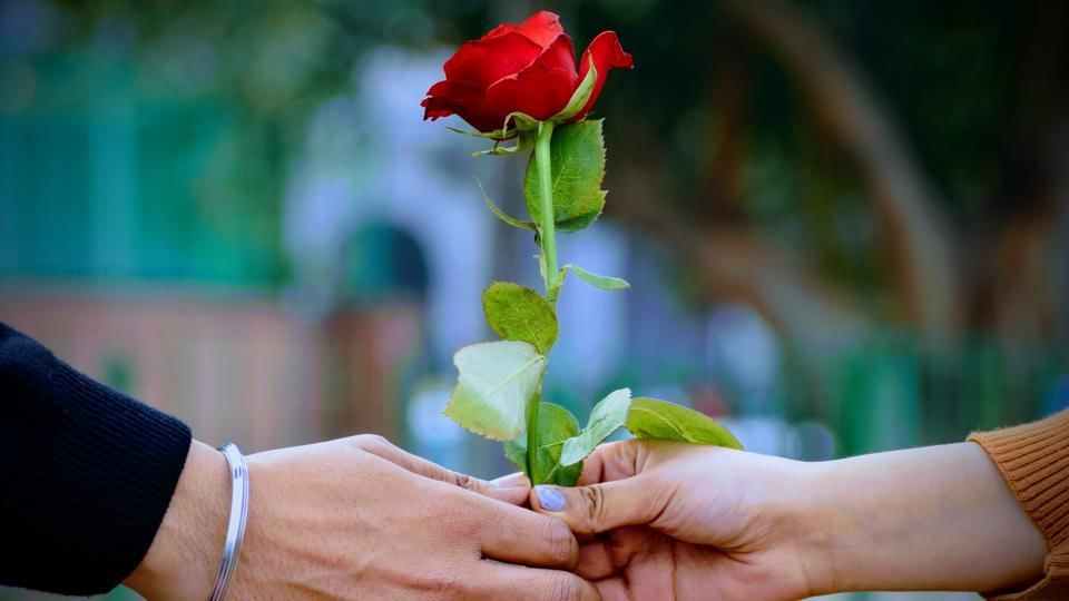 Valentine's day : ಬಣ್ಣ ಬಣ್ಣದ ಸಂಚಿಕೆಯಂತೆ ನನ್ನ ಬದುಕಿಗೆ ಮತ್ತೊಮ್ಮೆ ಬಾ.. Valentine's day : ಬಣ್ಣ ಬಣ್ಣದ ಸಂಚಿಕೆಯಂತೆ ನನ್ನ ಬದುಕಿಗೆ ಮತ್ತೊಮ್ಮೆ ಬಾ..
