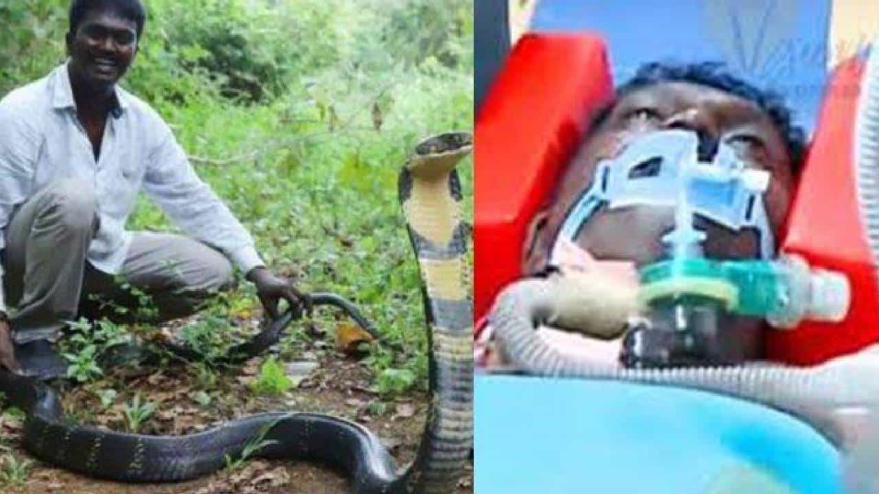 ಕೇರಳದ ಸ್ನೇಕ್ ಮ್ಯಾನ್ ವಾವಾ ಸುರೇಶ್ ಅವರ ಆರೋಗ್ಯದಲ್ಲಿ ಚೇತರಿಕೆ; ಇನ್ನೂ ಎರಡು ದಿನ ನಿಗಾ