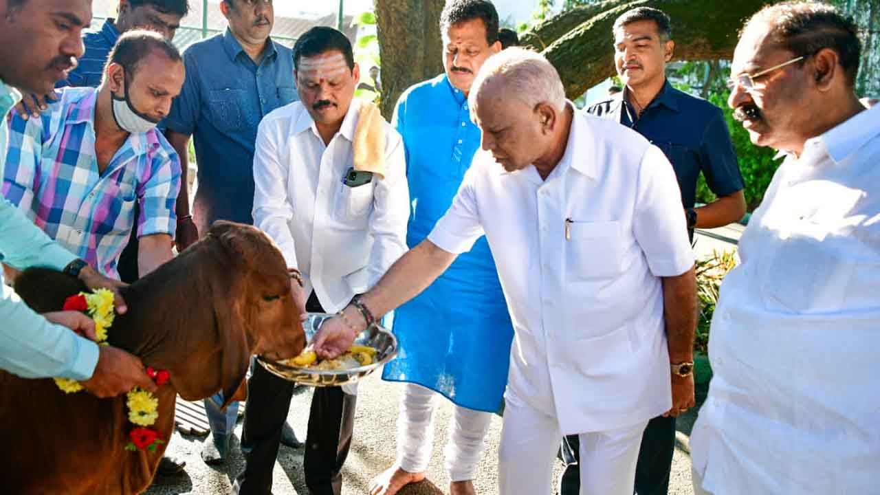 ಮಾಜಿ ಸಿಎಂ ಯಡಿಯೂರಪ್ಪ ಗೋವಿಗೆ ಬಾಳೆಹಣ್ಣು ತಿನ್ನಿಸಿದರು.