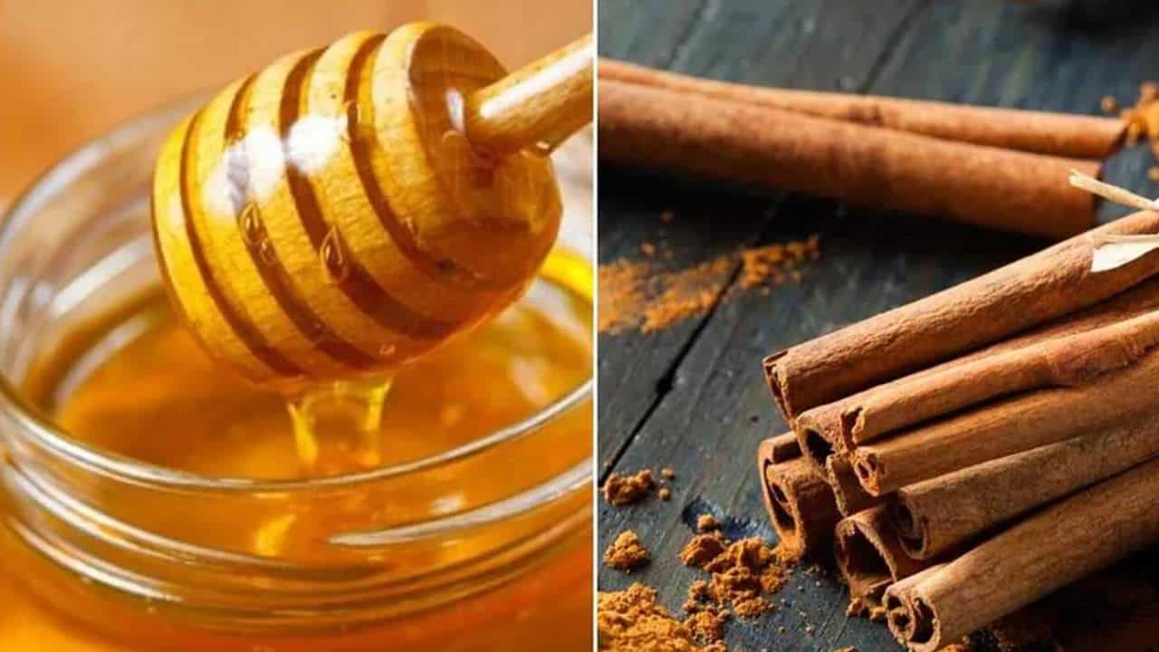 Cinnamon and Honey Benefits: ಜೇನುತುಪ್ಪ ಮತ್ತು ದಾಲ್ಚಿನ್ನಿ ಮಿಶ್ರಣ; ಇದರ ಆರೋಗ್ಯಕರ ಗುಣಗಳ ಬಗ್ಗೆ ಇಲ್ಲಿದೆ ಮಾಹಿತಿ Cinnamon and Honey Benefits: ಜೇನುತುಪ್ಪ ಮತ್ತು ದಾಲ್ಚಿನ್ನಿ ಮಿಶ್ರಣ; ಇದರ ಆರೋಗ್ಯಕರ ಗುಣಗಳ ಬಗ್ಗೆ ಇಲ್ಲಿದೆ ಮಾಹಿತಿ