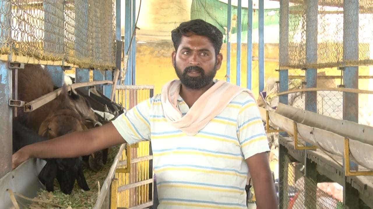 ಬಿಕಾಂ ಪದವೀಧರನ ಕೃಷಿ ಪಯಣ; 20 ಎಕರೆ ಜಮೀನಿನಲ್ಲಿ ಸಮೃದ್ಧ ಬೆಳೆ, ಸ್ವಾವಲಂಬಿ ಜೀವನದ ಯಶೋಗಾಥೆ ಇಲ್ಲಿದೆ ಬಿಕಾಂ ಪದವೀಧರನ ಕೃಷಿ ಪಯಣ; 20 ಎಕರೆ ಜಮೀನಿನಲ್ಲಿ ಸಮೃದ್ಧ ಬೆಳೆ, ಸ್ವಾವಲಂಬಿ ಜೀವನದ ಯಶೋಗಾಥೆ ಇಲ್ಲಿದೆ